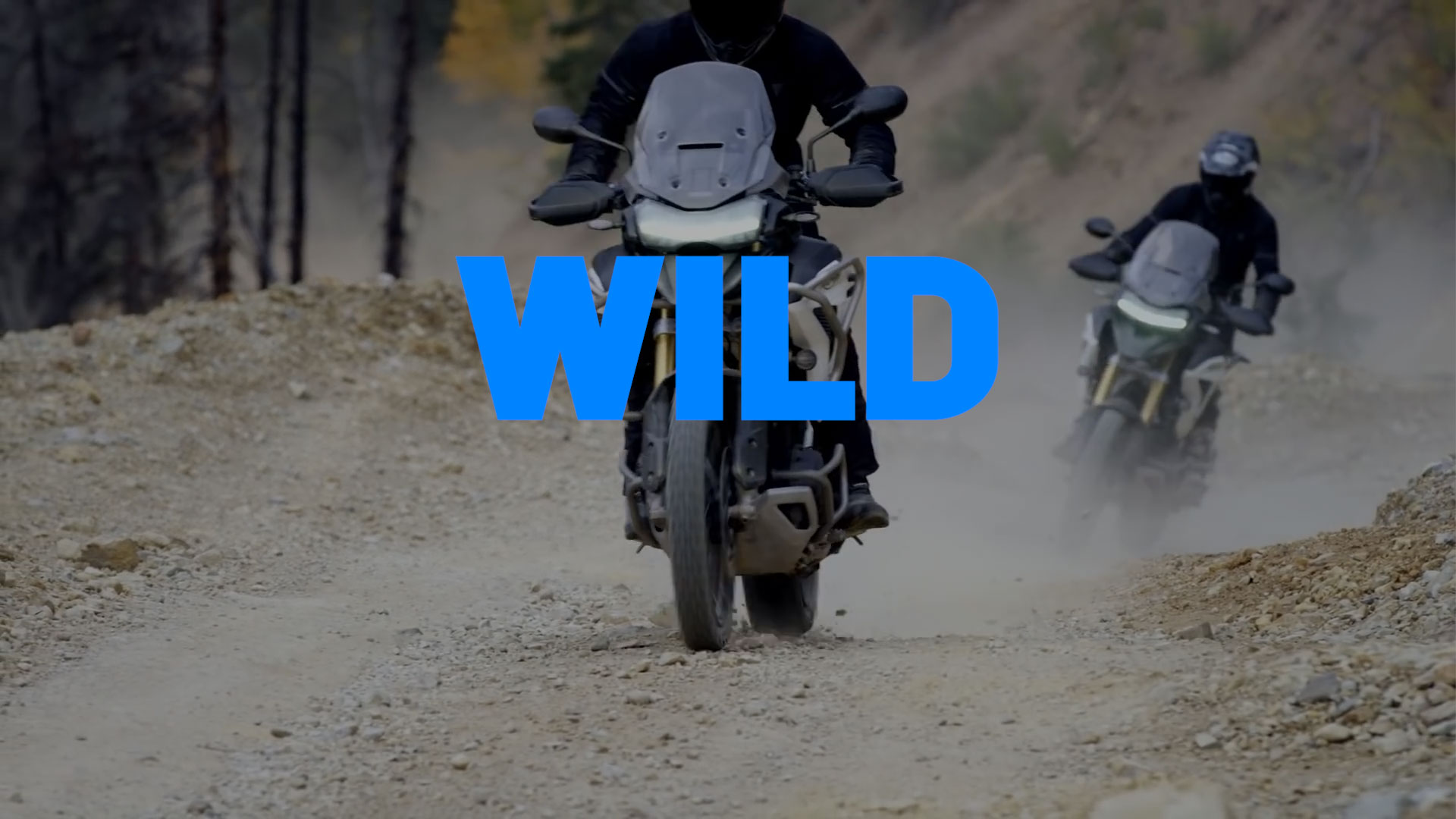 //www.phlay.com/wp-content/uploads/2023/07/TRIUMPH_WILD_01.jpg